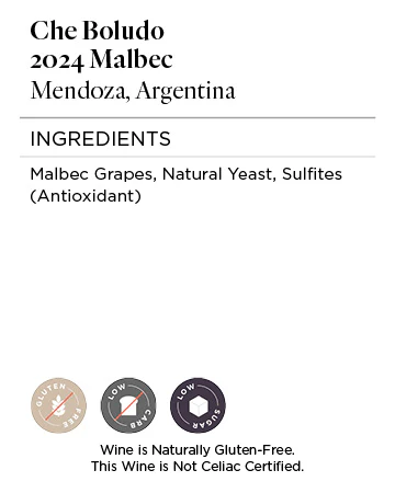 Che Boludo 2024 Malbec Mendoza, Argentina - Image 5
