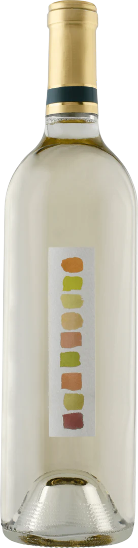 Color Wash 2016 Sauvignon Blanc Lodi California