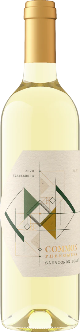 Common Phenomena 2020 Sauvignon Blanc Clarksburg, California