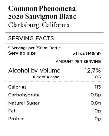 Common Phenomena 2020 Sauvignon Blanc Clarksburg, California - Image 4