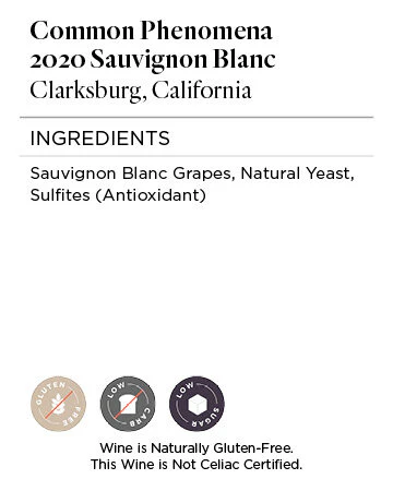 Common Phenomena 2020 Sauvignon Blanc Clarksburg, California - Image 5