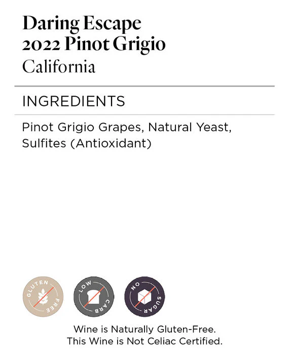 Daring Escape 2022 Pinot Grigio, California - Image 5