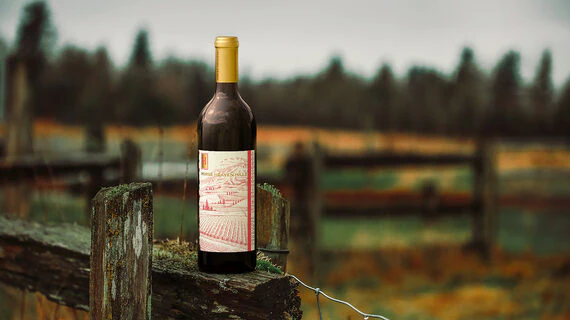 Longitude 120 West 2019 Cabernet Sauvignon Horse Heaven Hills, Washington - Image 3