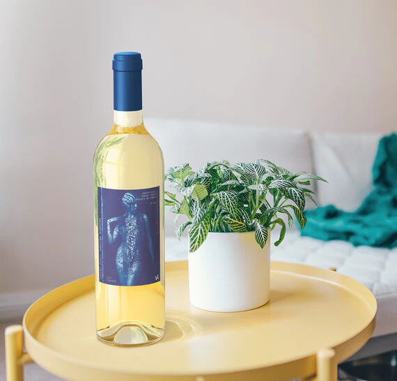 Maiden's Delight 2019 Pinot Grigio Garda DOC, Italy - Image 3