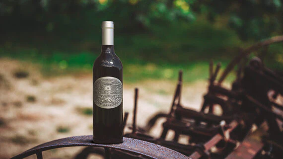 Rancho Campo 2019 Malbec Mendoza, Argentina - Image 4