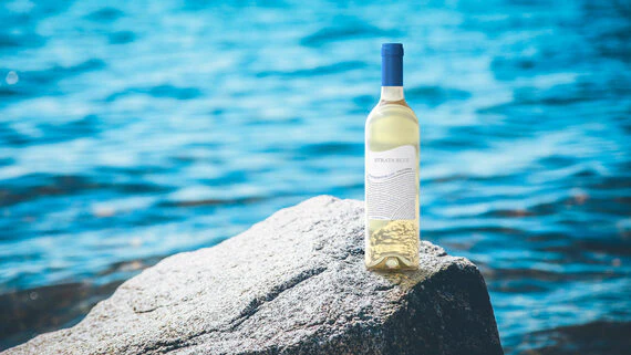 Strata Blue 2019 Sauvignon Blanc California - Image 3