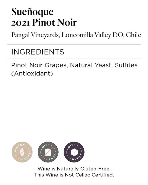Sueñoque 2021 Pinot Noir Pangal Vineyards, Loncomilla Valley DO, Chile - Image 4