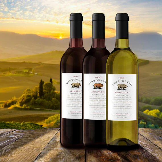 Tintoretto 2019 Pinot Grigio Garda DOC, Italy - Image 4
