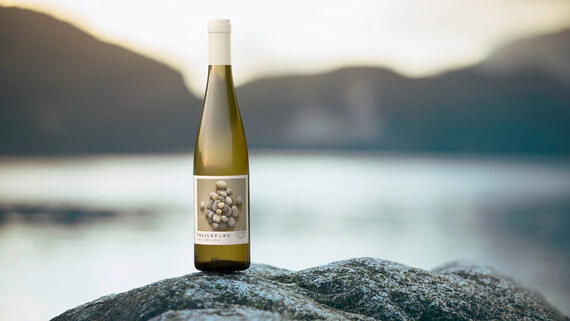 Trailstone 2019 Pinot Gris Columbia Valley, Washington - Image 3