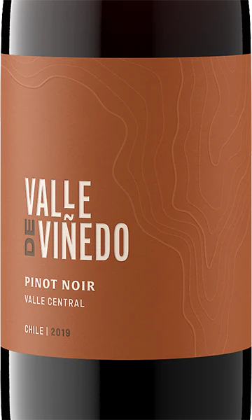 Valle de Viñedo 2019 Pinot Noir Valle Central, Chile - Image 2