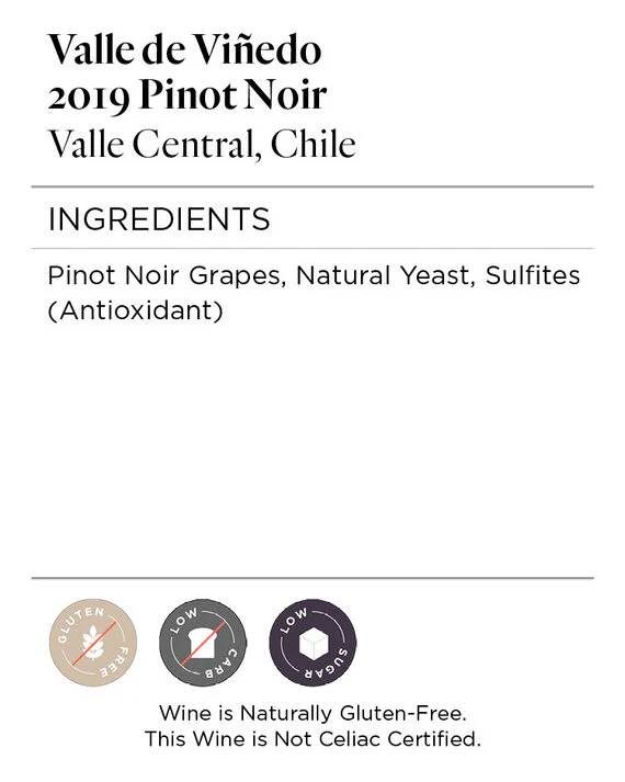 Valle de Viñedo 2019 Pinot Noir Valle Central, Chile - Image 5