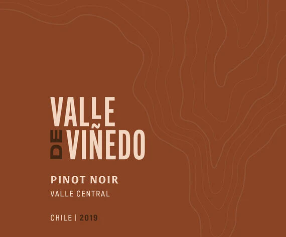 Valle de Viñedo 2019 Pinot Noir Valle Central, Chile - Image 6