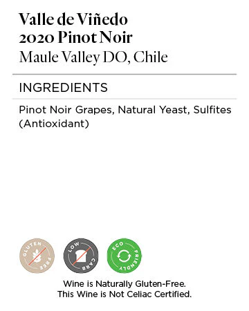 Valle de Viñedo 2020 Pinot Noir Maule Valley DO, Chile - Image 4