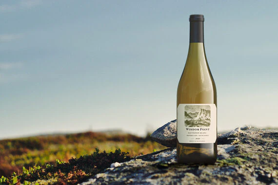 Wisdom Point 2020 Sauvignon Blanc Western Cape, South Africa - Image 3