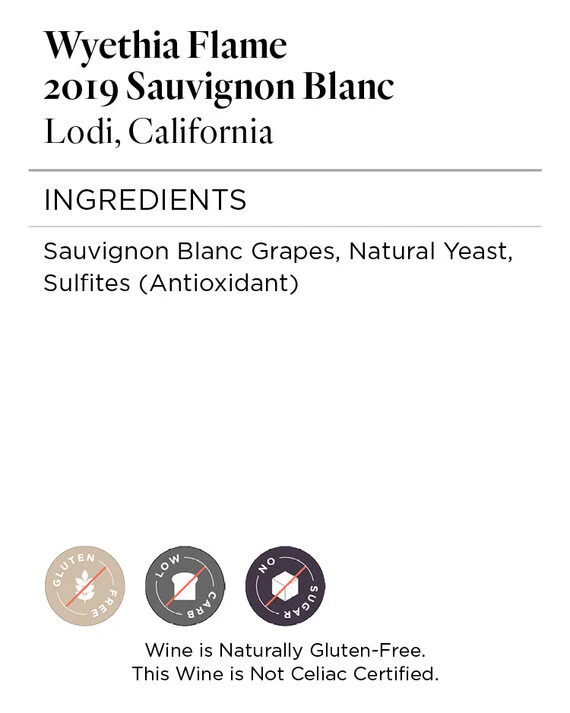 Wyethia Flame 2019 Sauvignon Blanc Lodi, California - Image 5