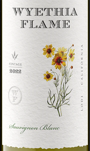 Wyethia Flame 2022 Sauvignon Blanc Lodi, California - Image 2