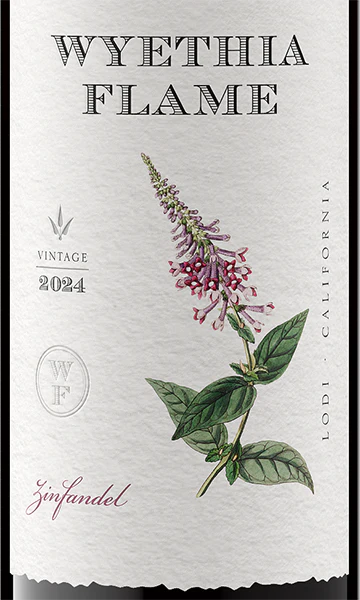 Wyethia Flame 2024 Zinfandel Lodi, California - Image 2