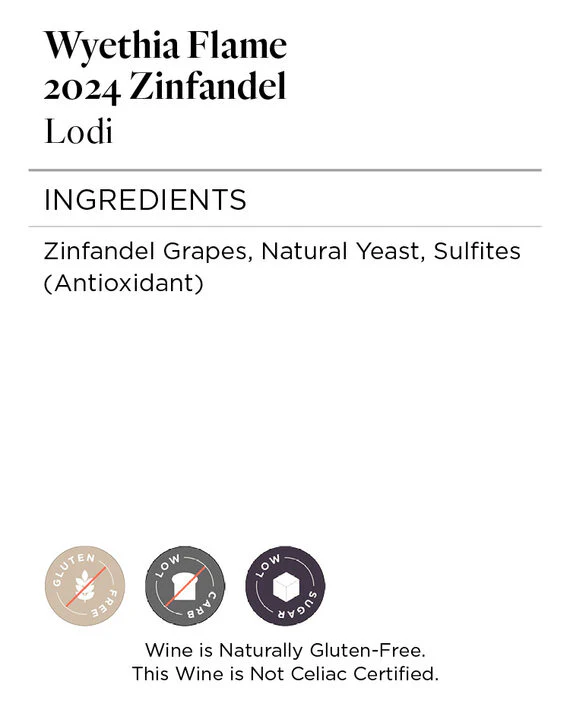 Wyethia Flame 2024 Zinfandel Lodi, California - Image 5